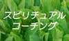 banner.jpg